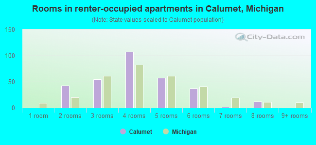 Rooms in renter-occupied apartments in Calumet, Michigan