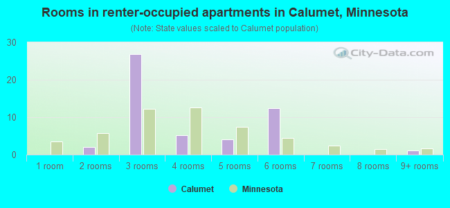 Rooms in renter-occupied apartments in Calumet, Minnesota