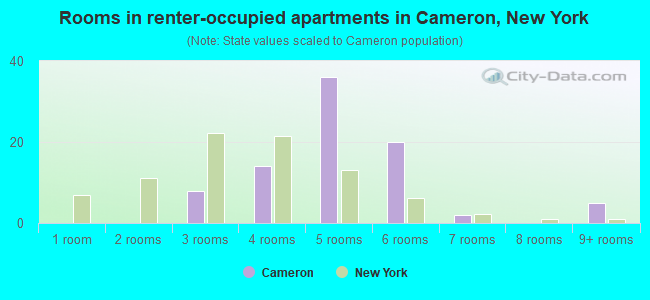 Rooms in renter-occupied apartments in Cameron, New York