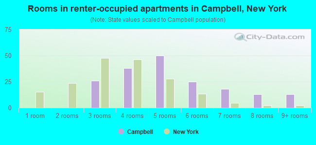 Rooms in renter-occupied apartments in Campbell, New York