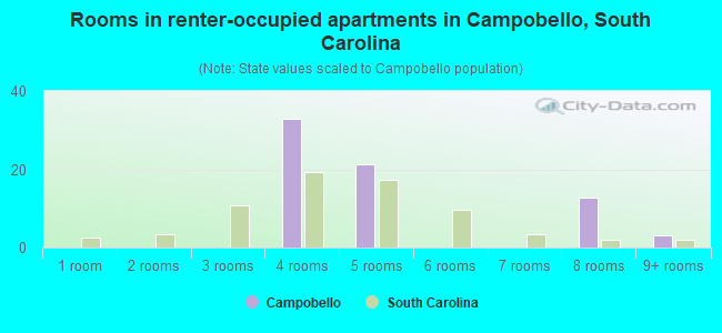 Rooms in renter-occupied apartments in Campobello, South Carolina
