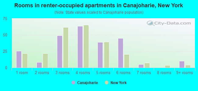 Rooms in renter-occupied apartments in Canajoharie, New York