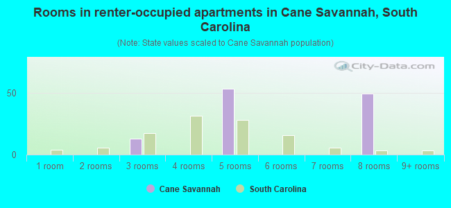 Rooms in renter-occupied apartments in Cane Savannah, South Carolina