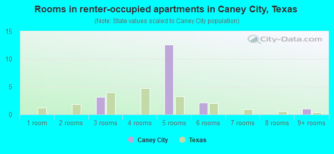 Rooms in renter-occupied apartments in Caney City, Texas