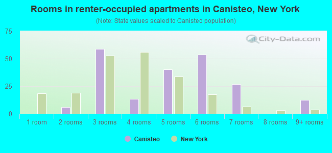 Rooms in renter-occupied apartments in Canisteo, New York