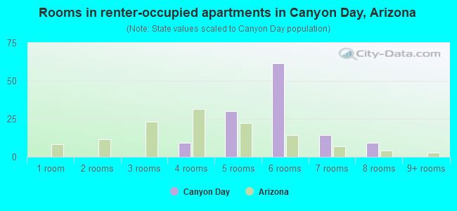 Rooms in renter-occupied apartments in Canyon Day, Arizona