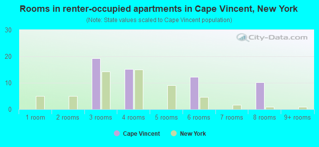 Rooms in renter-occupied apartments in Cape Vincent, New York