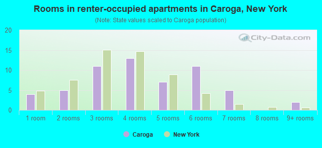 Rooms in renter-occupied apartments in Caroga, New York