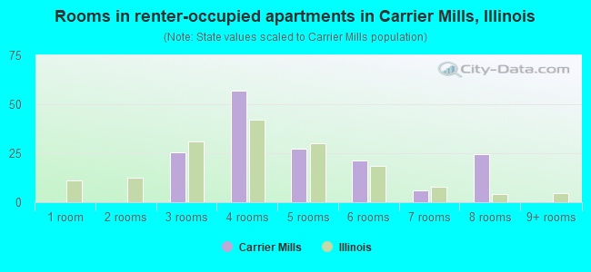 Rooms in renter-occupied apartments in Carrier Mills, Illinois