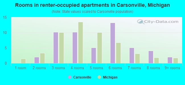 Rooms in renter-occupied apartments in Carsonville, Michigan