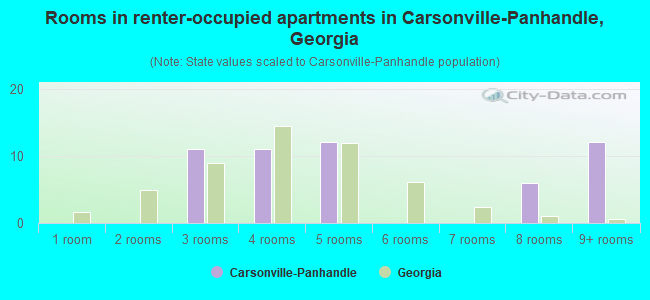 Rooms in renter-occupied apartments in Carsonville-Panhandle, Georgia