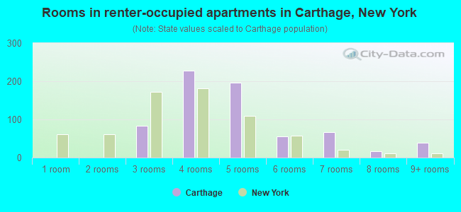 Rooms in renter-occupied apartments in Carthage, New York