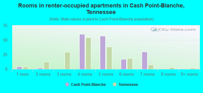 Rooms in renter-occupied apartments in Cash Point-Blanche, Tennessee
