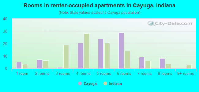 Rooms in renter-occupied apartments in Cayuga, Indiana