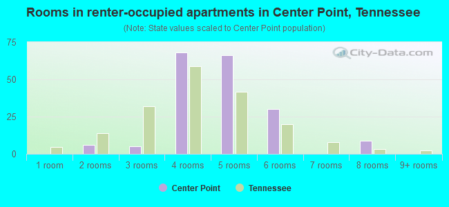 Rooms in renter-occupied apartments in Center Point, Tennessee