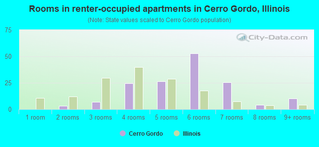 Rooms in renter-occupied apartments in Cerro Gordo, Illinois