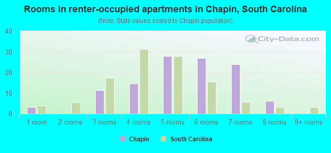 Rooms in renter-occupied apartments in Chapin, South Carolina