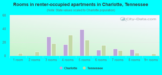 Rooms in renter-occupied apartments in Charlotte, Tennessee