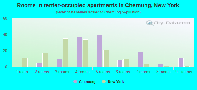 Rooms in renter-occupied apartments in Chemung, New York