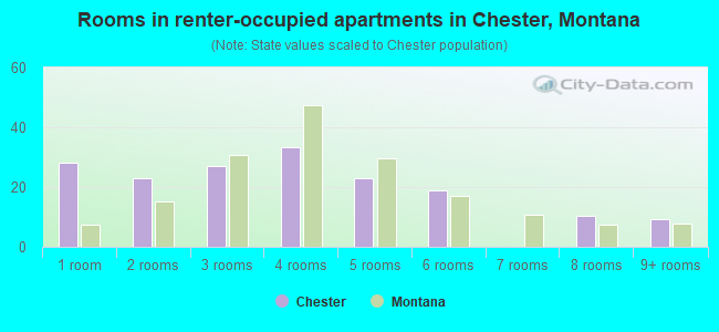 Rooms in renter-occupied apartments in Chester, Montana