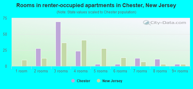 Rooms in renter-occupied apartments in Chester, New Jersey