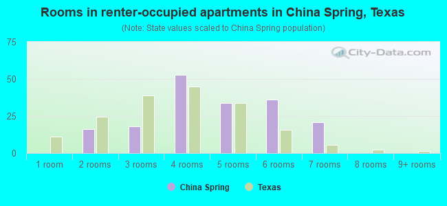 Rooms in renter-occupied apartments in China Spring, Texas