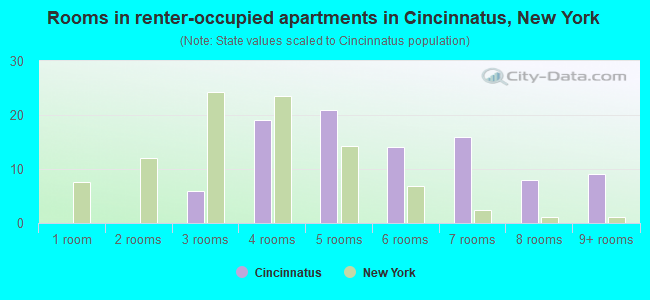 Rooms in renter-occupied apartments in Cincinnatus, New York