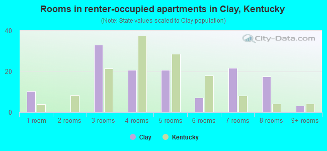 Rooms in renter-occupied apartments in Clay, Kentucky