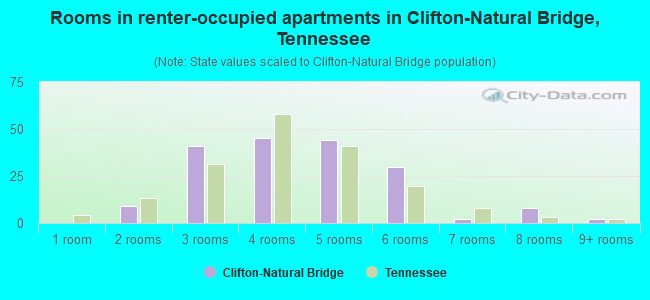 Rooms in renter-occupied apartments in Clifton-Natural Bridge, Tennessee