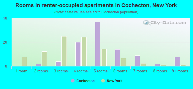 Rooms in renter-occupied apartments in Cochecton, New York