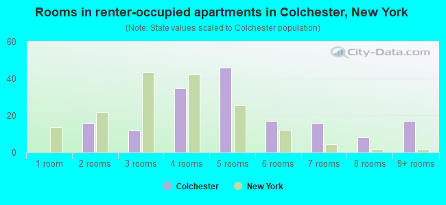 Rooms in renter-occupied apartments in Colchester, New York