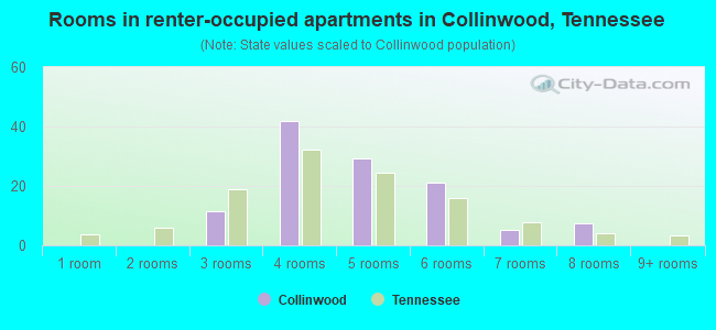 Rooms in renter-occupied apartments in Collinwood, Tennessee