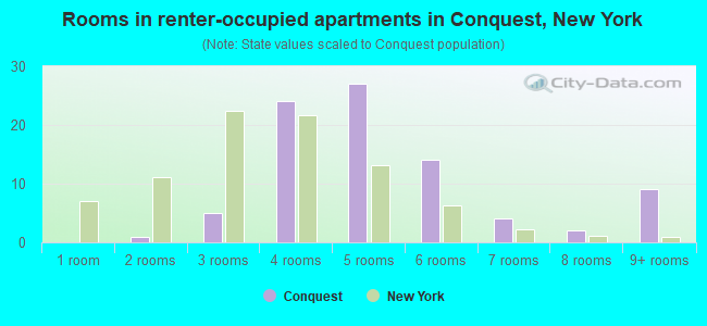 Rooms in renter-occupied apartments in Conquest, New York