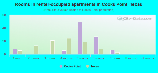 Rooms in renter-occupied apartments in Cooks Point, Texas