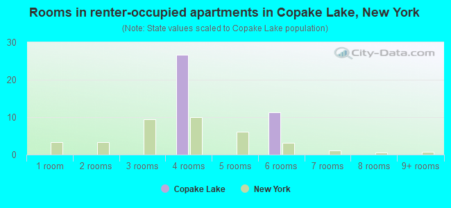 Rooms in renter-occupied apartments in Copake Lake, New York