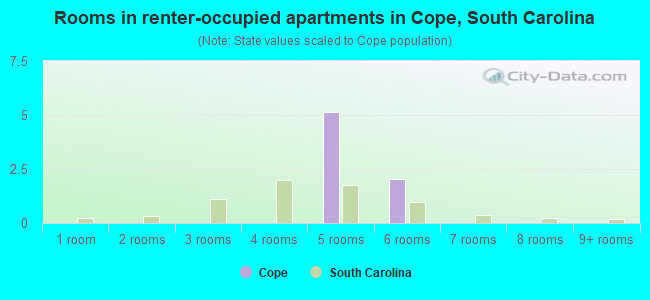 Rooms in renter-occupied apartments in Cope, South Carolina