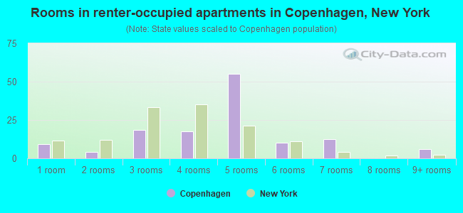 Rooms in renter-occupied apartments in Copenhagen, New York