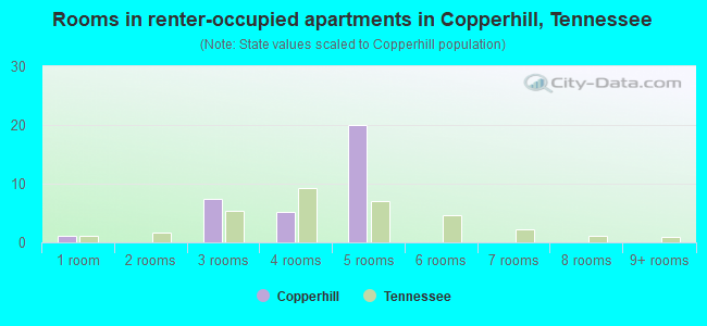 Rooms in renter-occupied apartments in Copperhill, Tennessee