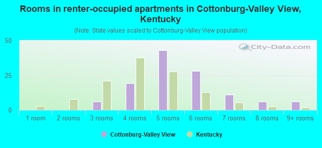 Rooms in renter-occupied apartments in Cottonburg-Valley View, Kentucky