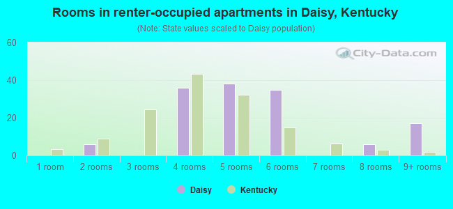 Rooms in renter-occupied apartments in Daisy, Kentucky