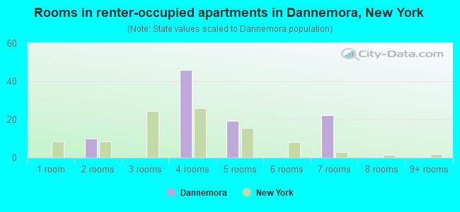 Rooms in renter-occupied apartments in Dannemora, New York