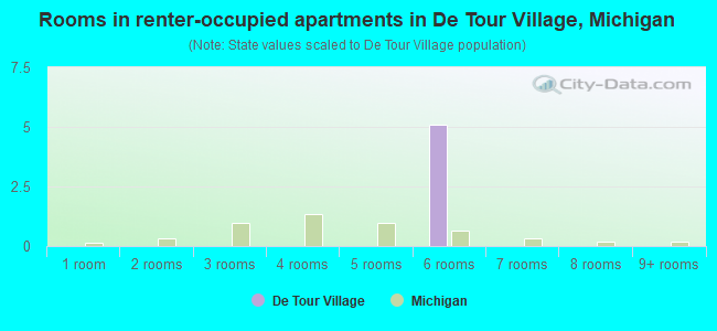 Rooms in renter-occupied apartments in De Tour Village, Michigan