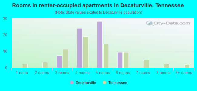 Rooms in renter-occupied apartments in Decaturville, Tennessee