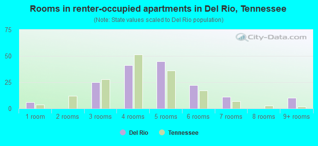 Rooms in renter-occupied apartments in Del Rio, Tennessee