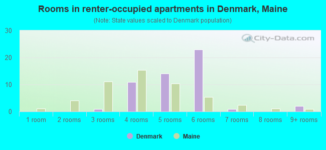 Rooms in renter-occupied apartments in Denmark, Maine