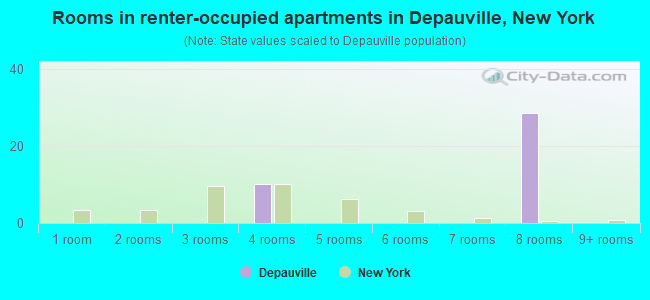 Rooms in renter-occupied apartments in Depauville, New York