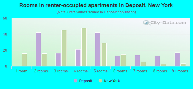 Rooms in renter-occupied apartments in Deposit, New York