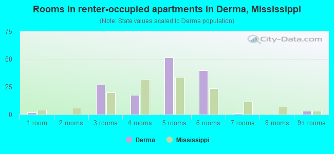 Rooms in renter-occupied apartments in Derma, Mississippi