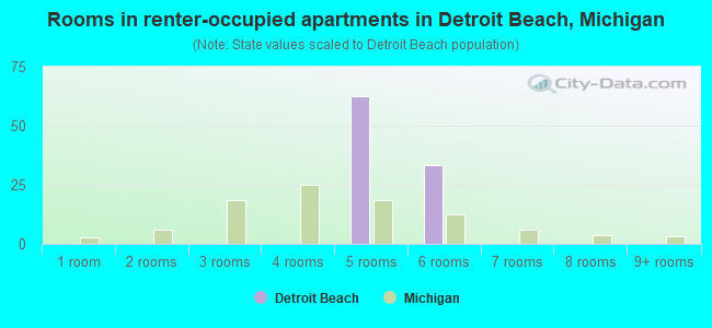 Rooms in renter-occupied apartments in Detroit Beach, Michigan