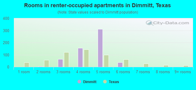 Rooms in renter-occupied apartments in Dimmitt, Texas